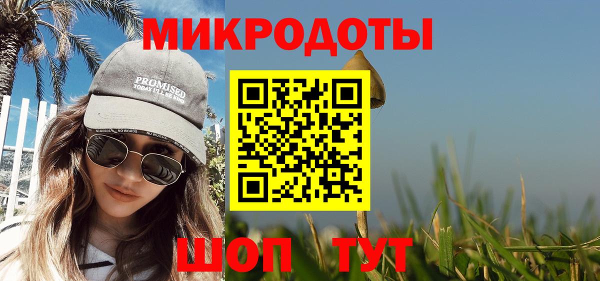Галлюциногенные грибы Psilocybine cubensis Пенза