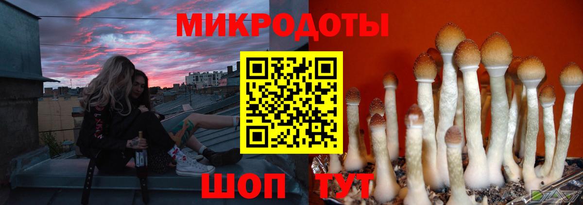 хочу   Вход с VPN  Пенза  Псилоцибиновые грибы прущие грибы 